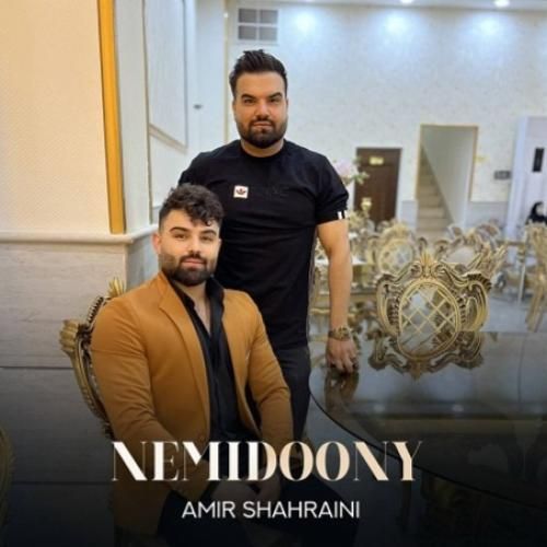 امیر شهرایینی نمیدونی