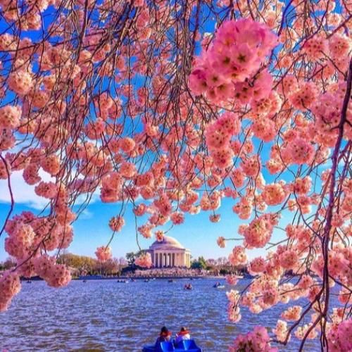  لش نخون اگه بهت نمیاد ترپ نخون