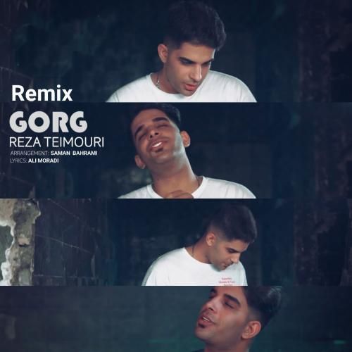 رضا تیموری گرگ