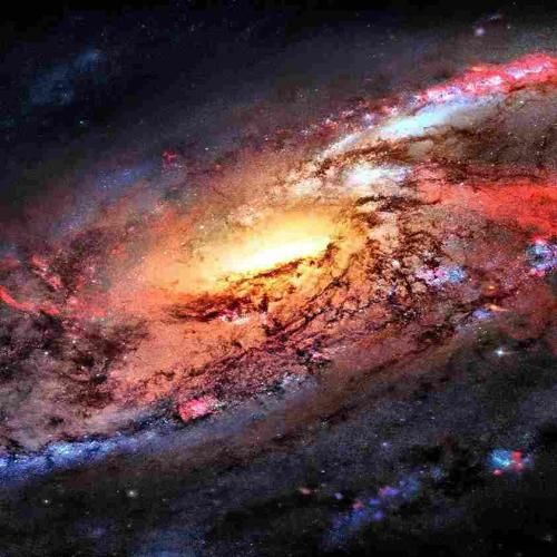 نگو نه نمیشه من با دوتا چشم دیدم میگفت