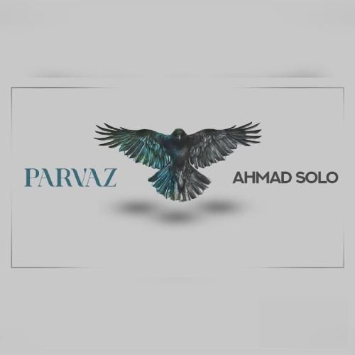 احمد سلو پرواز