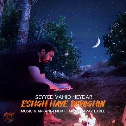 سید وحید حیدری عشق های دروغین