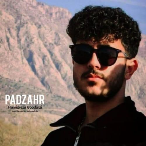 حمیدرضا گودرزی