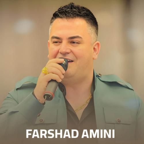 فرشاد امینی