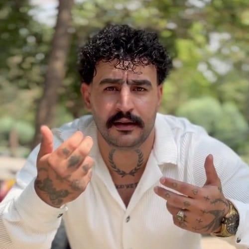 وحید عباسی