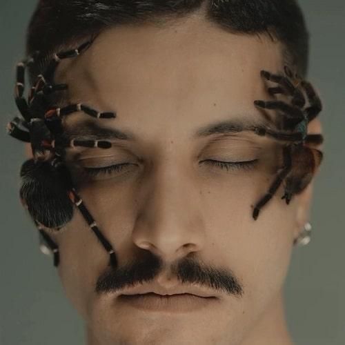 احسان دریادل