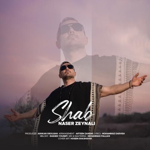 ناصر زینعلی