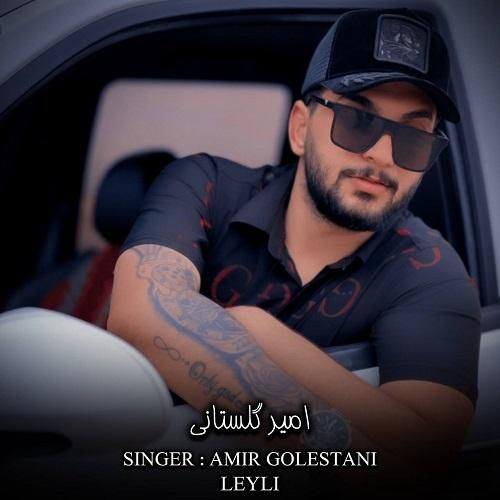 امیر گلستانی