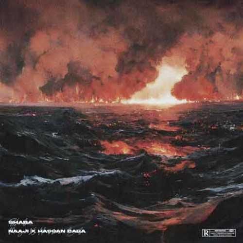 ناجی و حسن بابا