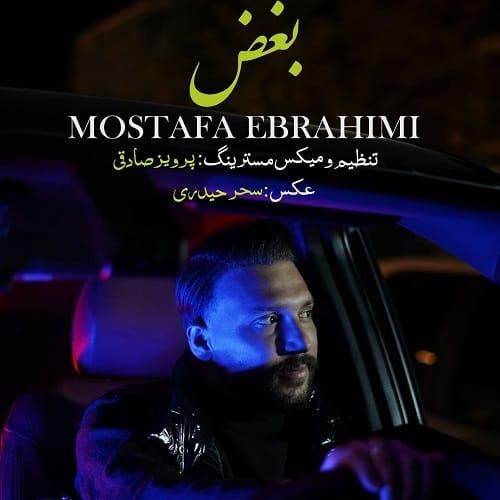 مصطفی ابراهیمی