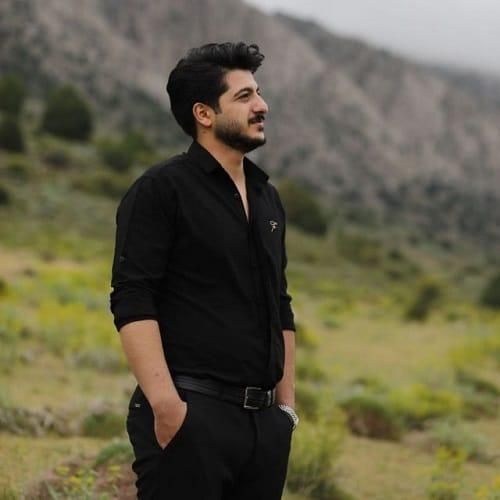 امیر سیاوشی