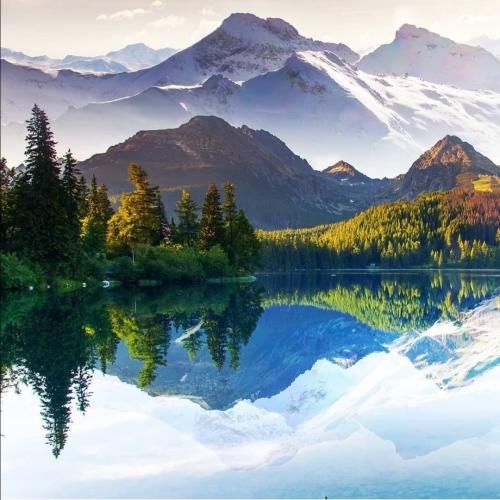 نازلی مکفیان