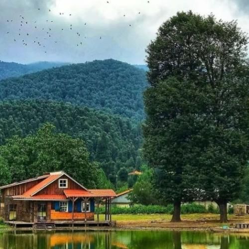 دانلود آهنگ وعدمون باشه قیامت گلم جز خدا به کی شکایت کنم هوش مصنوعی