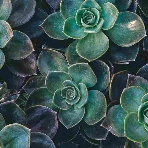 دانلود آهنگ یه رو خوب میشه حالت یه رو که خیلی دیر نی